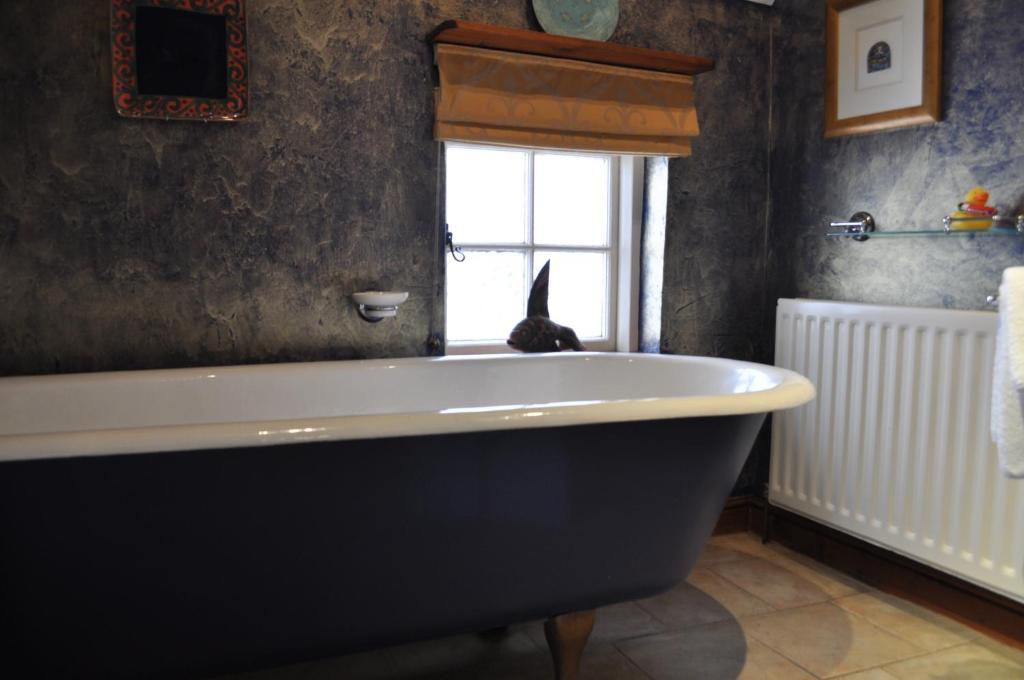 Old Ivy House Bed & Breakfast Nuneaton Quarto foto